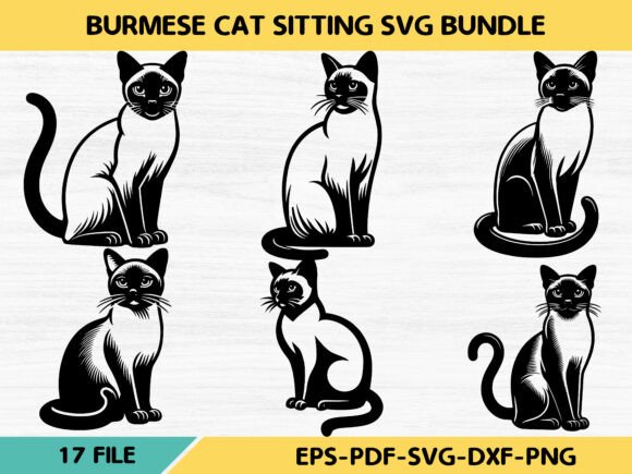 Burmese Cat Sitting SVG Bundle